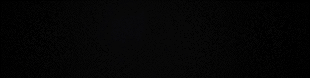 vikings logo4.gif